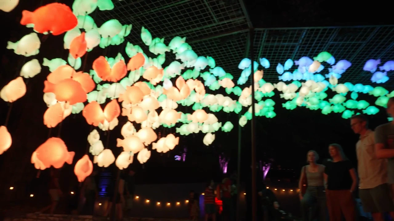 Illuminated fish suspended above Waller Creek during Creek Show 2024