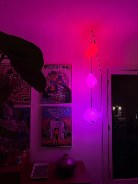 Photo 1 shared by Julien Cohen with their Fish Lamp review