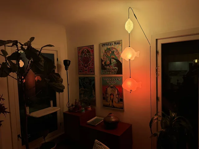 Photo 2 shared by Julien Cohen with their Fish Lamp review