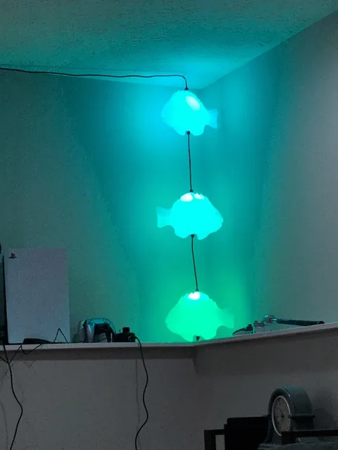 Photo 1 shared by Libby Mattei with their Fish Lamp review