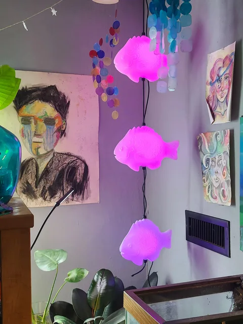 Photo 4 shared by Jordeah Grosko with their Fish Lamp review