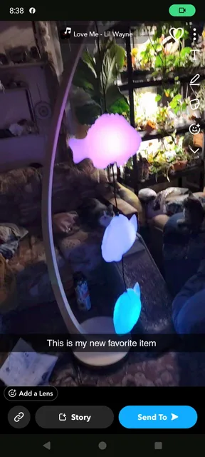 Photo 2 shared by Lizzy with their Fish Lamp review