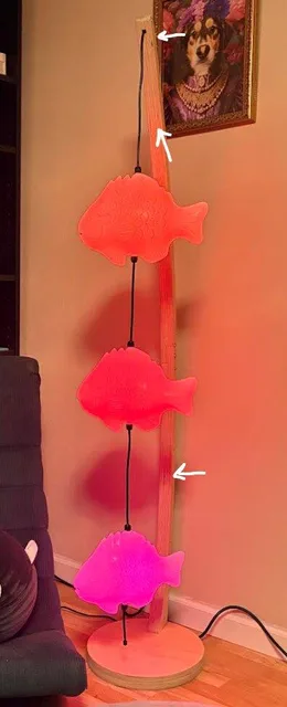 Photo 1 shared by Polly Wong with their Fish Lamp review