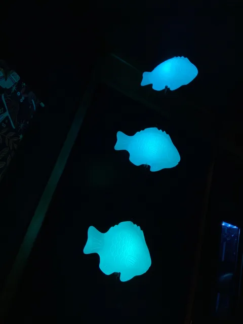Photo 2 shared by Kim Ferrell with their Fish Lamp review
