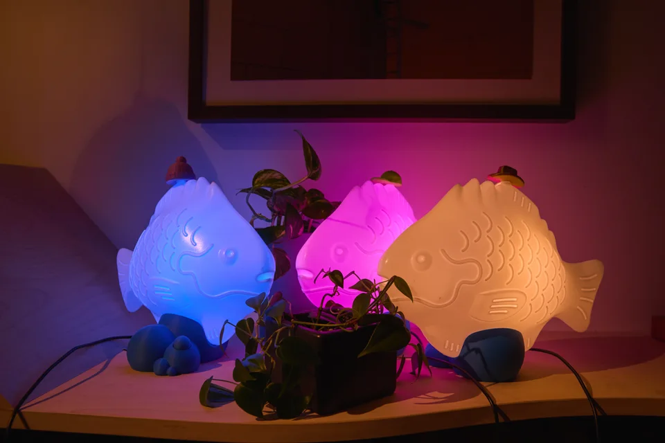 Blue, pink, and warm white table fish lamps glowing on a desk