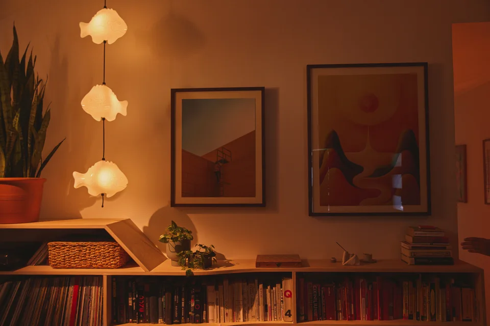 Hanging Fish Lamp