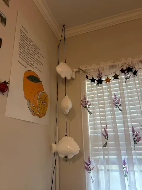 Photo 1 shared by Clara Jones with their Fish Lamp review