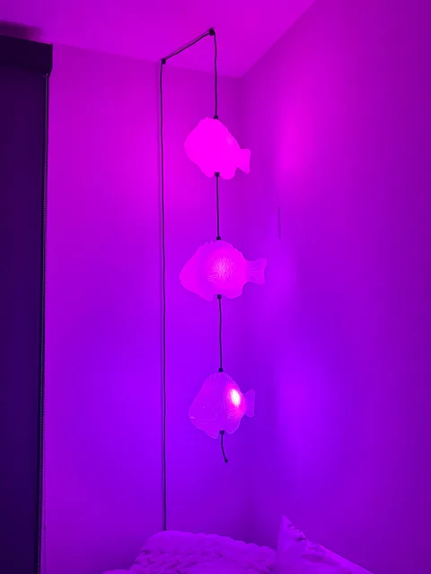 Photo 3 shared by d.s.  with their Fish Lamp review