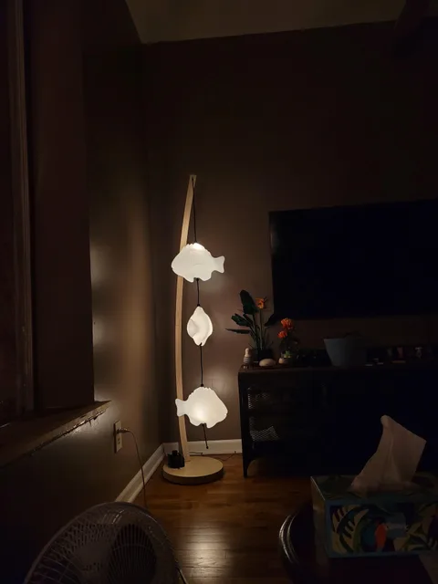 Photo 1 shared by Kal with their Fish Lamp review