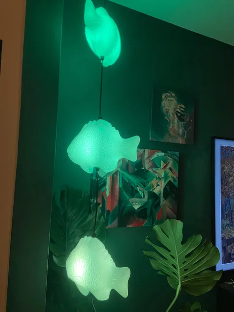Photo 4 shared by Kim Ferrell with their Fish Lamp review