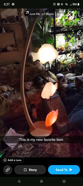 Photo 1 shared by Lizzy with their Fish Lamp review