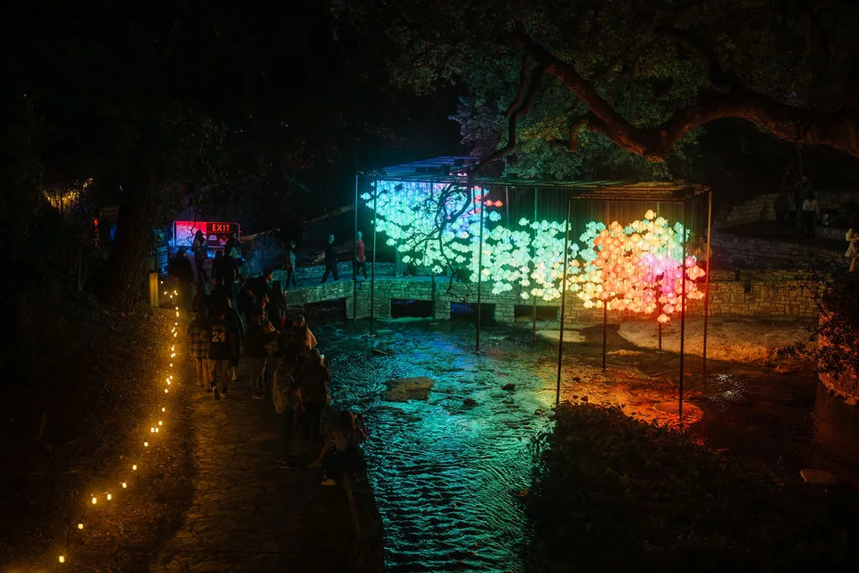 Rainbow fish installation stretching over Waller Creek
