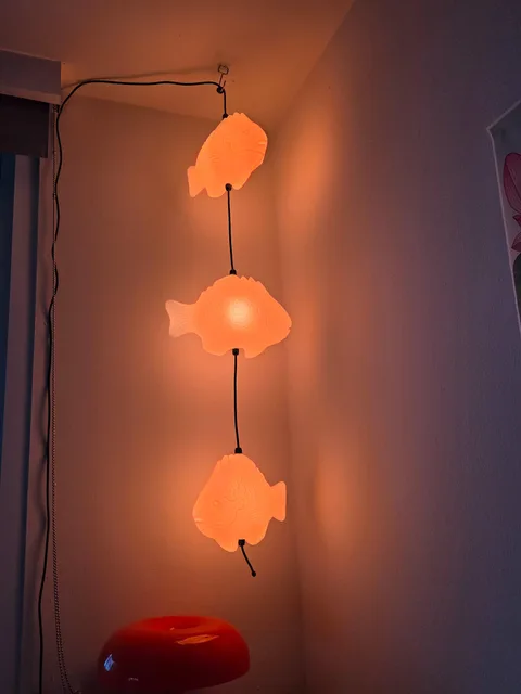 Photo 1 shared by ninaninanina with their Fish Lamp review