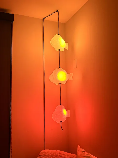 Photo 1 shared by d.s.  with their Fish Lamp review